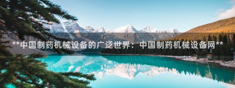 九游会最新网站