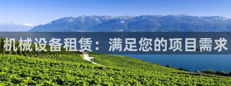 九游会官网网址是多少