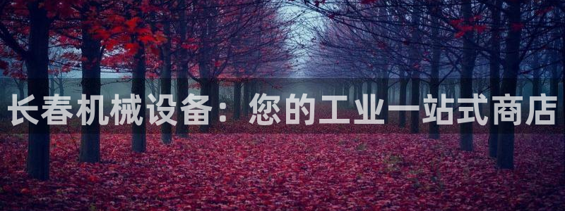 j9九游会安卓版下载