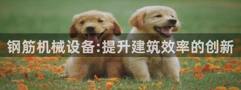 九游会中国入口嘛