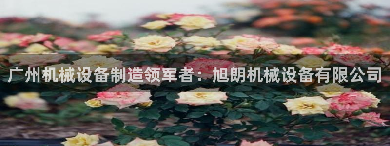 j9九游会买u多少一个