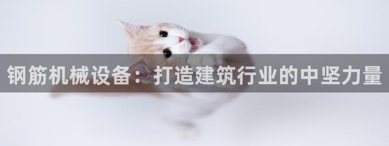 九游会集团正规吗