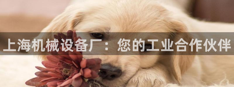J9九游会登录首页