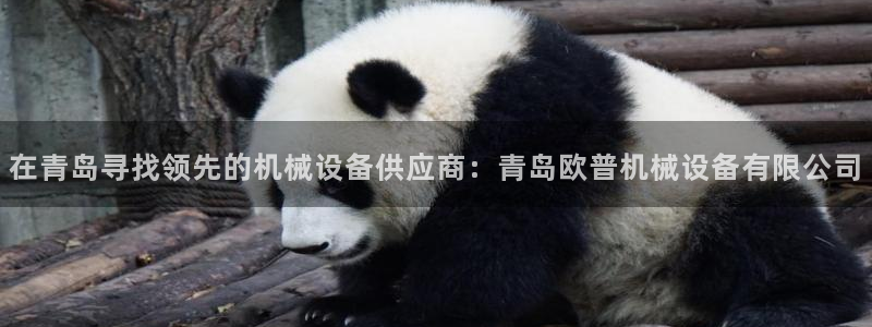 九游会官网平台