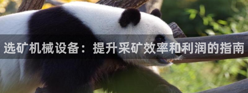 九游会老哥必备的俱乐部交流区