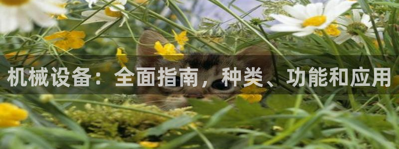 J9九游会网站