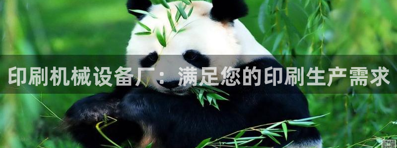 九游会j9官网