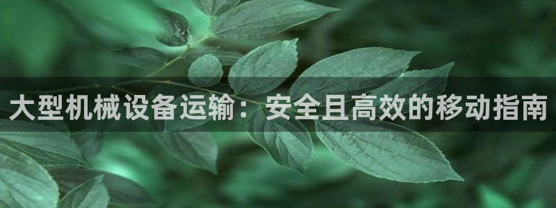 j9九游会合法吗