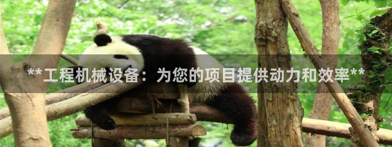 九游会平台登陆