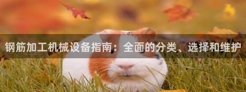九游会网址是多少