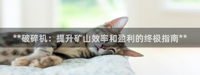 九游会老哥俱乐部必备的交流社区论坛