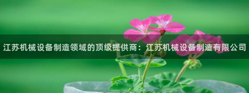 九游会官方旗舰店