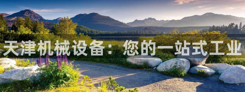九游会官方选网址是j9.cm