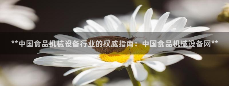 J9九游会几千也会黑吗