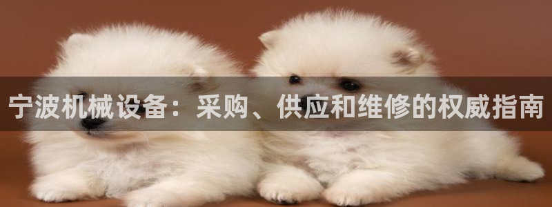 j9九游会登录网址