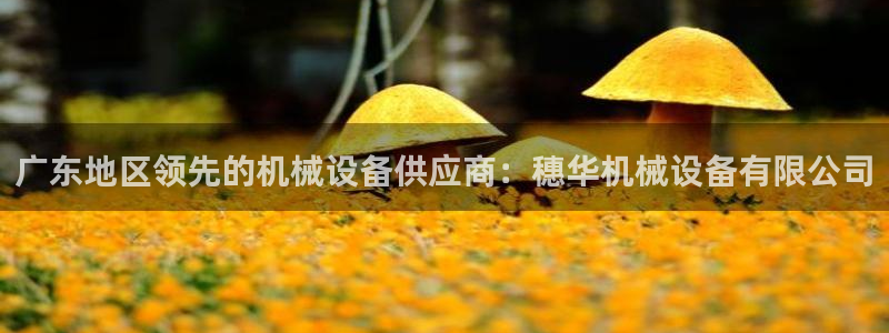 九游会ag亚洲