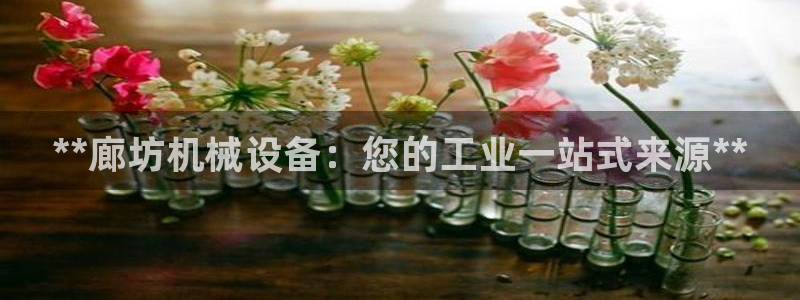 九游会ag官方网站