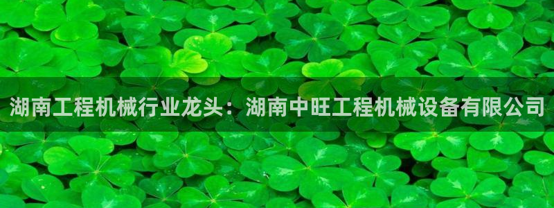 九游会首页官网