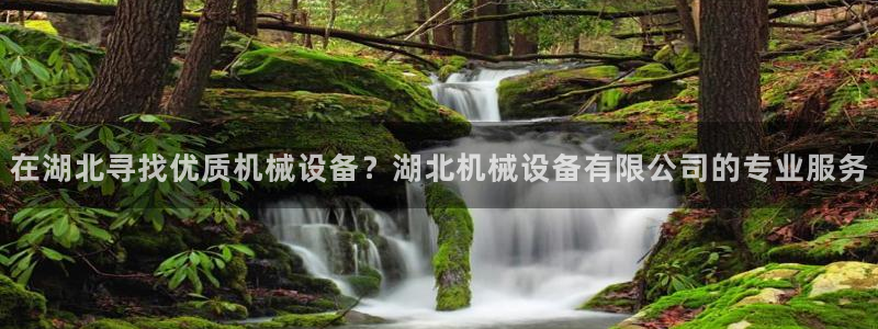 j9九游会永久域名