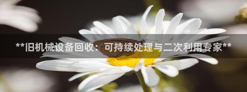 九游J9官方网站