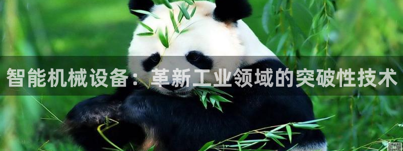 九游会官网ag旧版