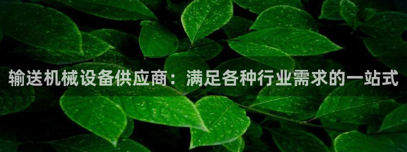 九游会 app下载