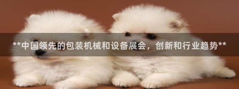 9游会j9