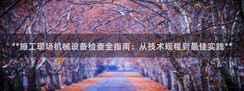 九游会是ag吗