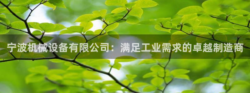 九游会网站打不开了