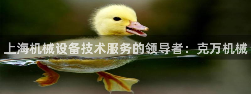 j9九游会安卓版下载