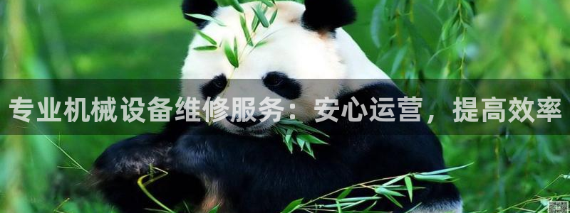 九游会游戏登陆