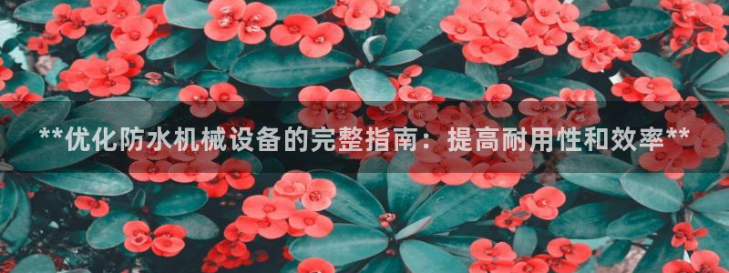 九游会进不去了