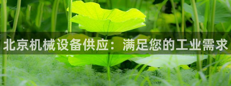 九游会官方