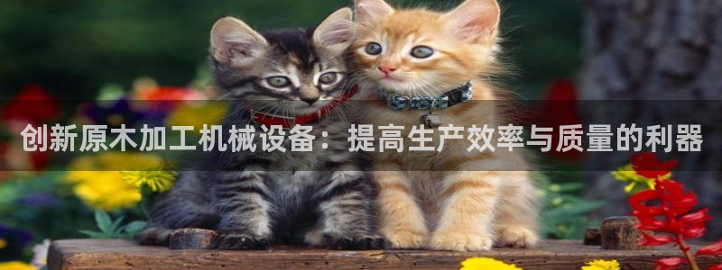 九游会在线官方网站登录吗