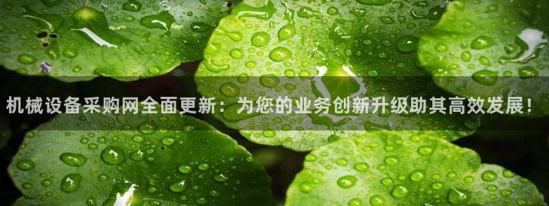 九游会网站打不开了