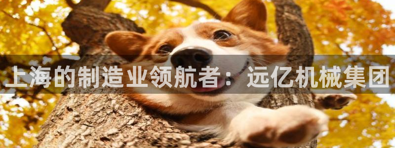 ag老帅百度百科
