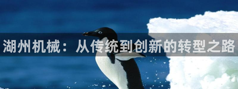 九游会视讯,九游会视讯官网