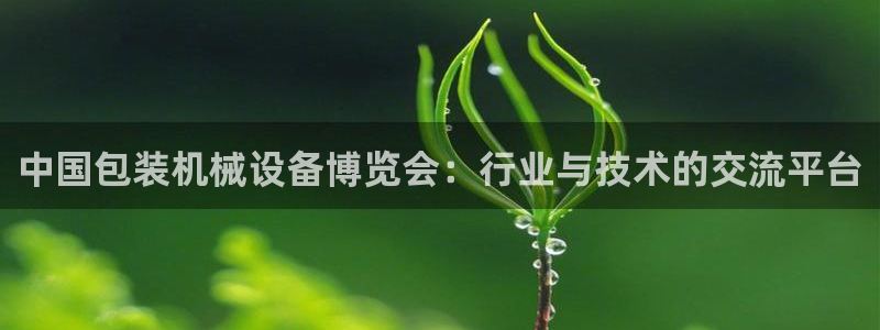 j9九游会游戏中国官方网站