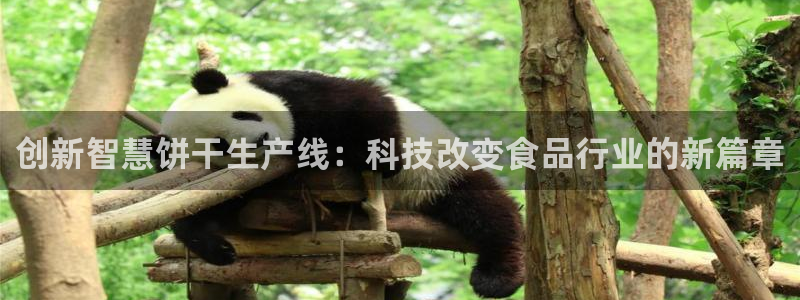 九游会j9官网入口登