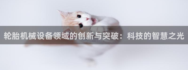 九游会是真的吗：轮胎