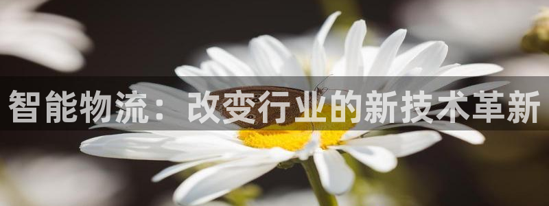 九游会ag真人官网ios