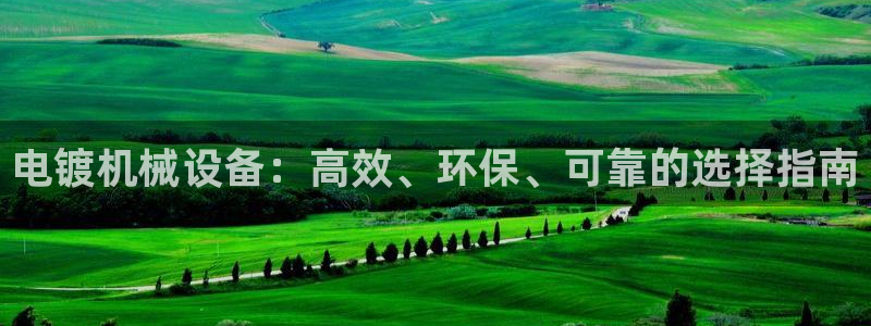 j9九游会网址是什么