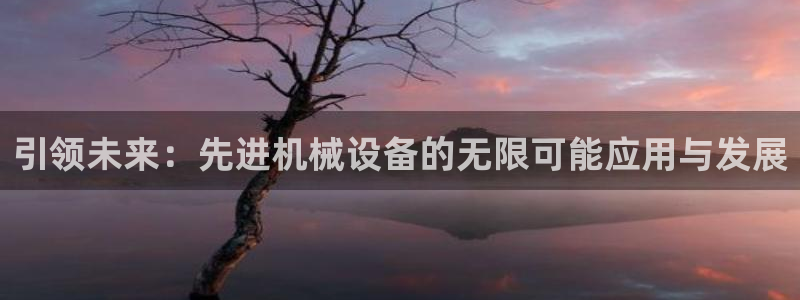 j9九游会ag8手机aPP