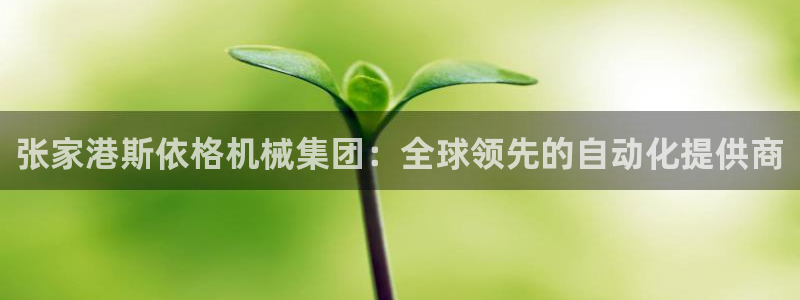 j9九游会官方网站国际怎么样