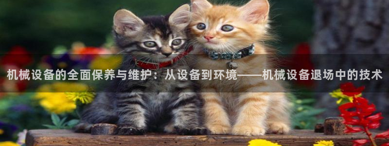 九游会官方网站登陆
