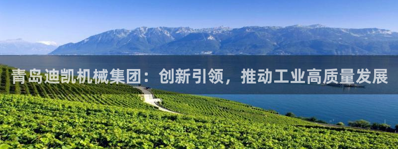 九游会平台怎么样