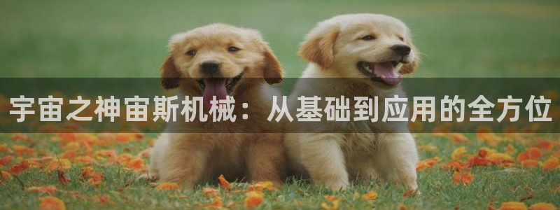九游会账号登录网址：