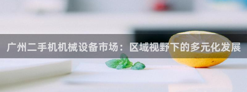 九游会ag网址大全专业版