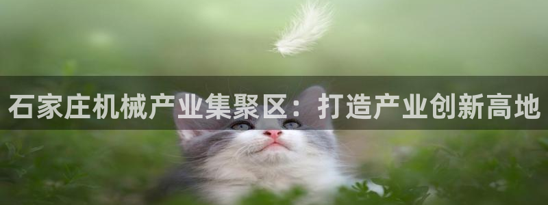 九游会官方app