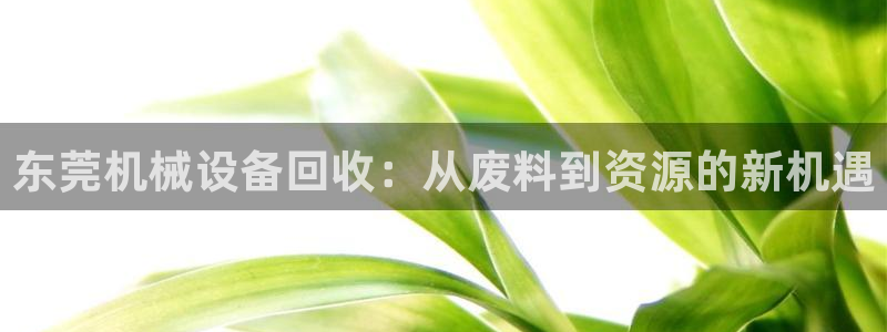 九游会集团菲律宾